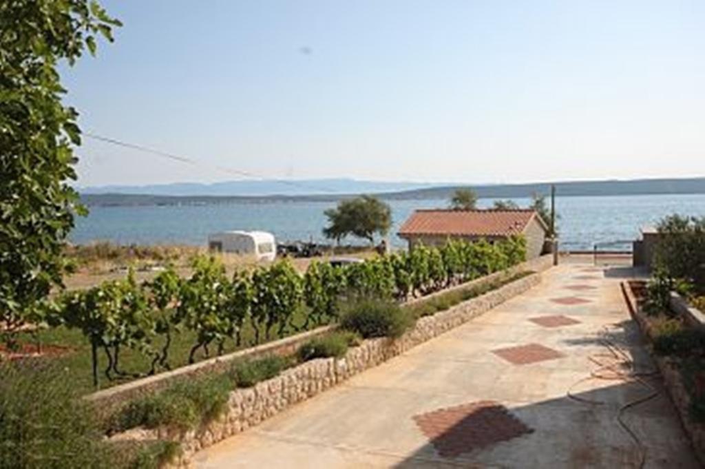 Banj Apartments Pasman חדר תמונה
